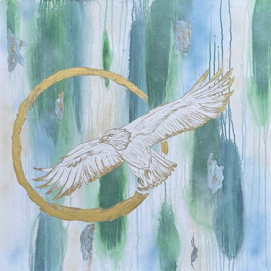 Soar